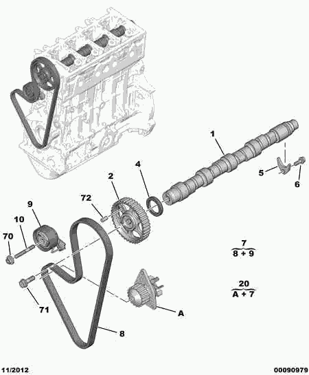 PSA 0816.F0 - Cinghia dentata www.autoricambi360.it