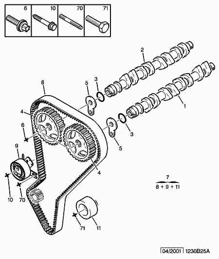 PSA 0816 E2 - Cinghia dentata www.autoricambi360.it