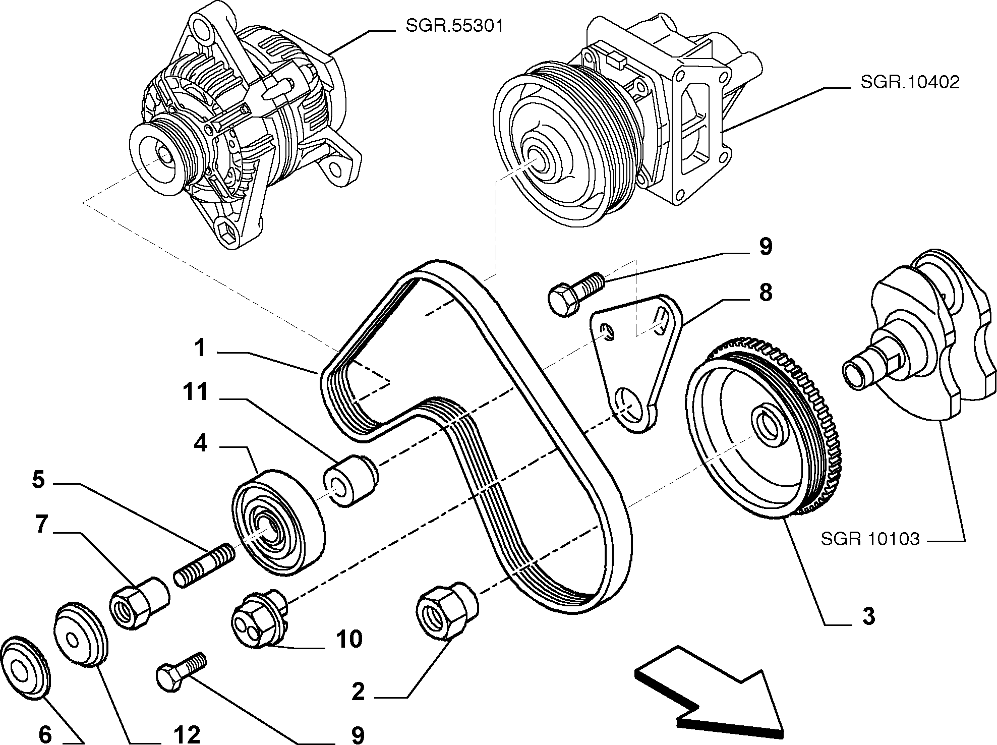 FCA 55192799 - Cinghia Poly-V www.autoricambi360.it