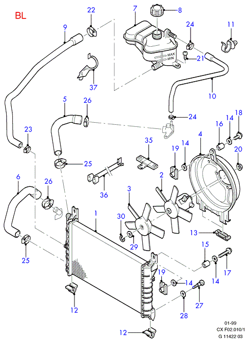 FORD 1303612 - Cinghia Poly-V www.autoricambi360.it