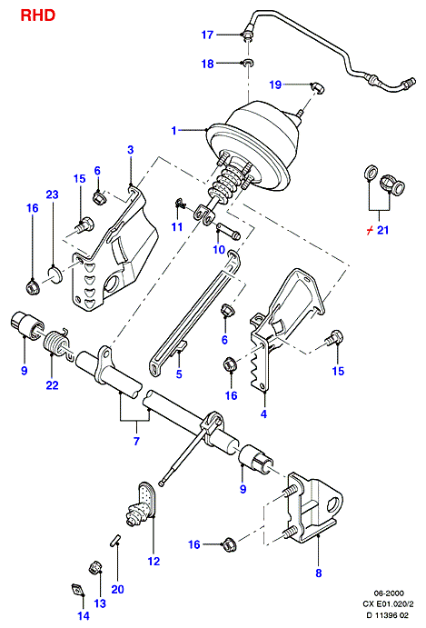 FORD 6081249 - Cinghia Poly-V www.autoricambi360.it