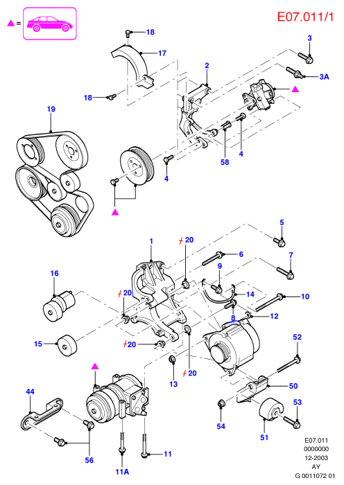 FORD 6200285 - Galoppino / Guidacinghia, Cinghia Poly-V www.autoricambi360.it