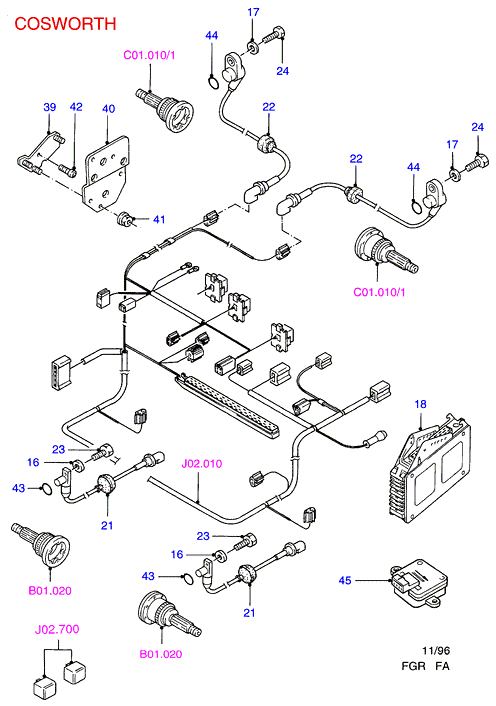 FORD 6081249 - Cinghia Poly-V www.autoricambi360.it