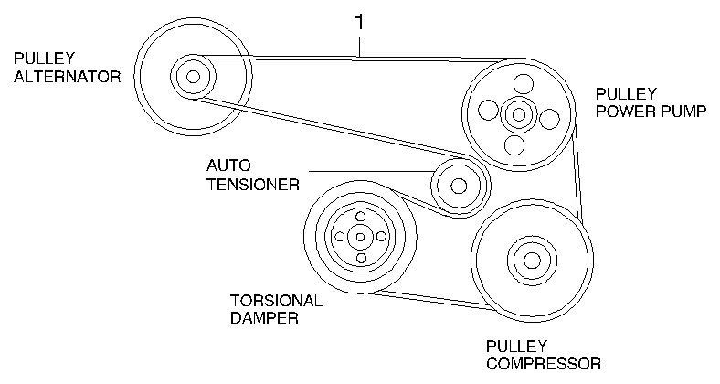 GM 25183021 - Cinghia Poly-V www.autoricambi360.it