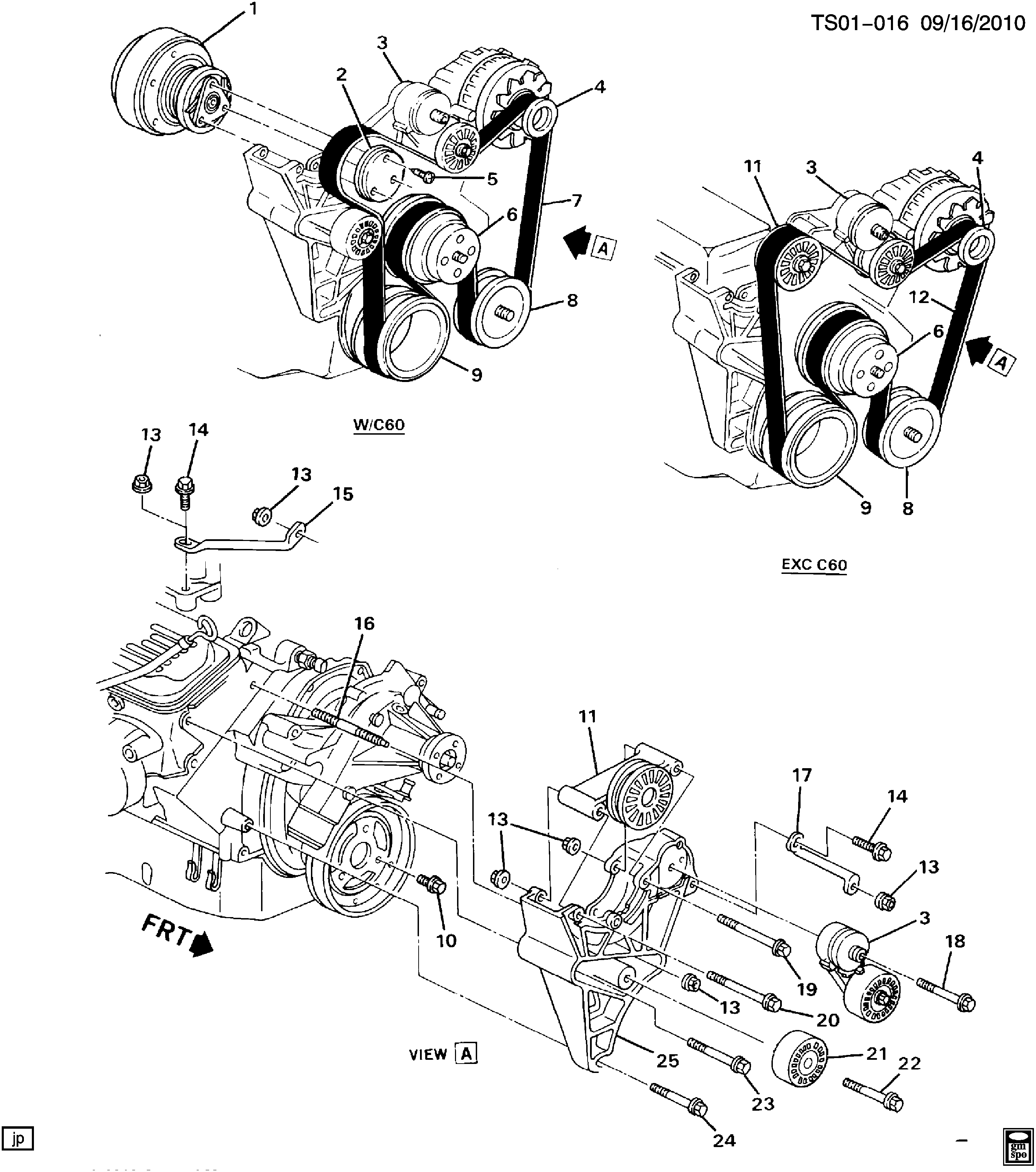 GM 10129560 - Tendicinghia, Cinghia Poly-V www.autoricambi360.it