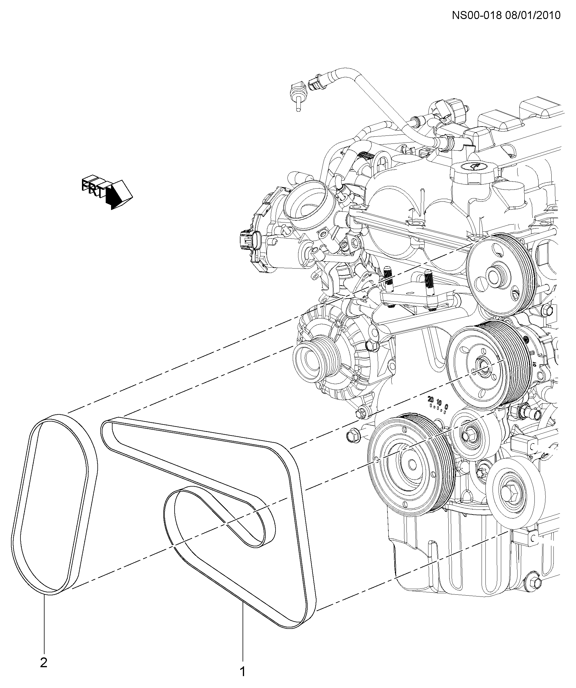 GM 24100558 - Cinghia Poly-V www.autoricambi360.it