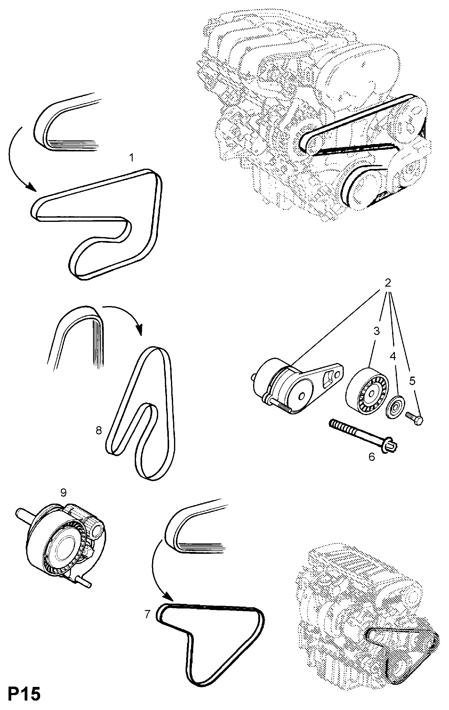 GM 1340555 - Tendicinghia, Cinghia Poly-V www.autoricambi360.it