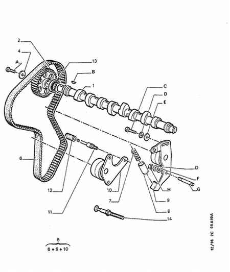PSA 0816 58 - Cinghia dentata www.autoricambi360.it