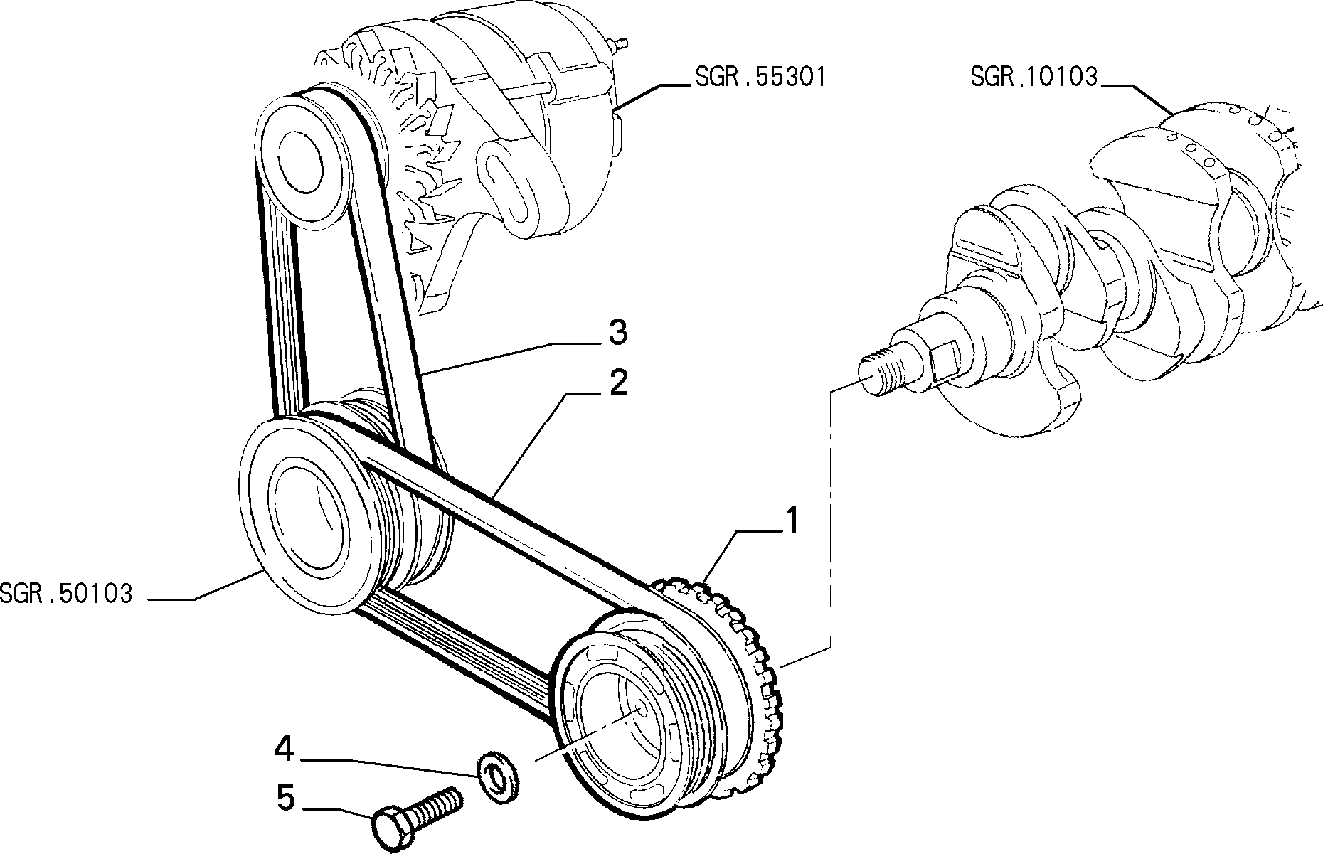 FCA 71718838 - Cinghia Poly-V www.autoricambi360.it