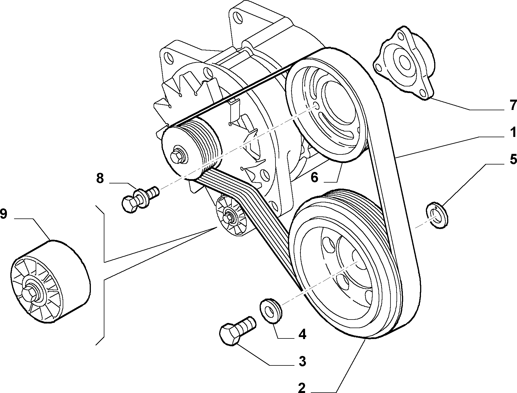 FCA 504171191 - Cinghia Poly-V www.autoricambi360.it