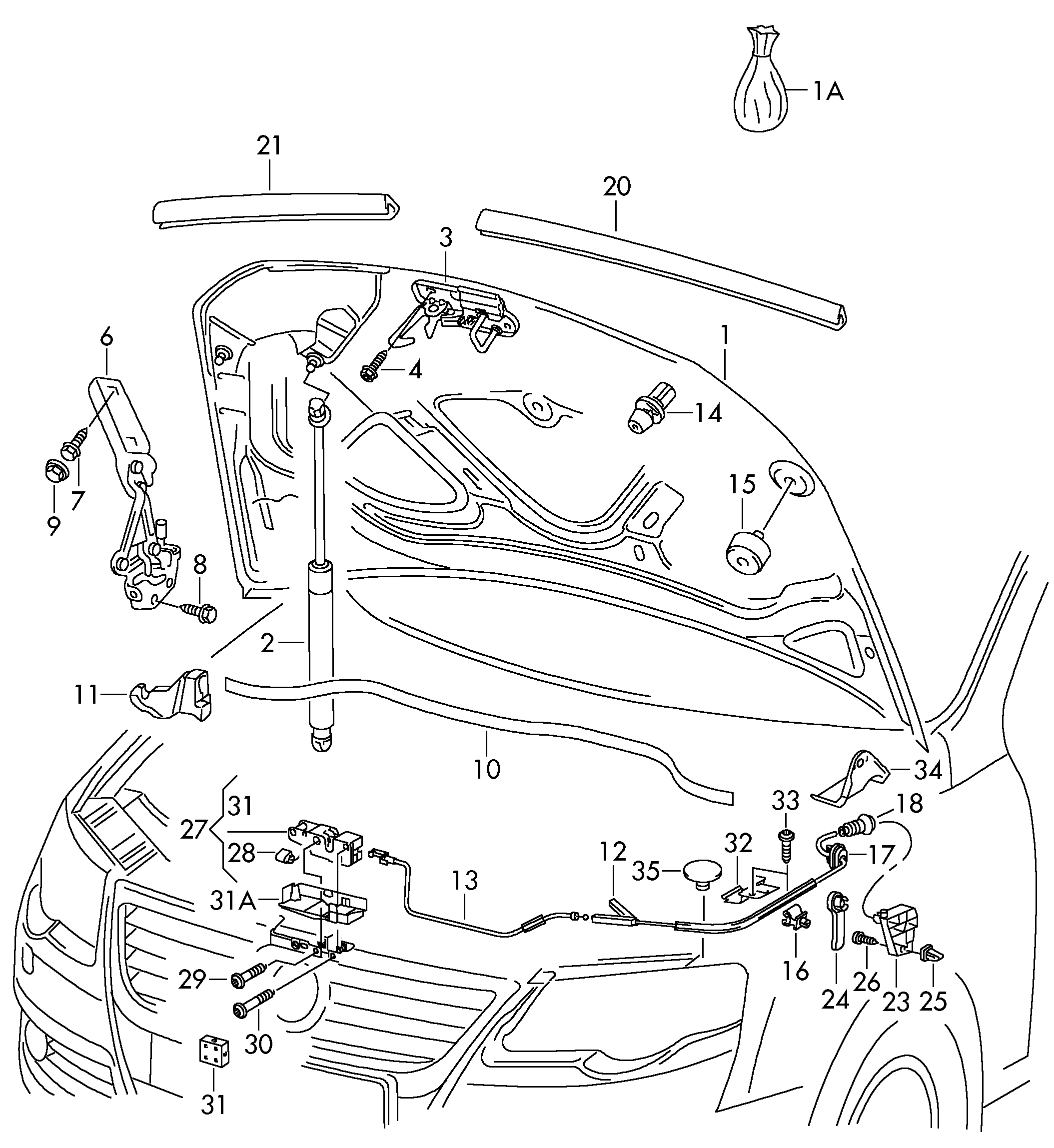 VEMA 51445 - Ammortizzatore pneumatico, Cofano motore www.autoricambi360.it